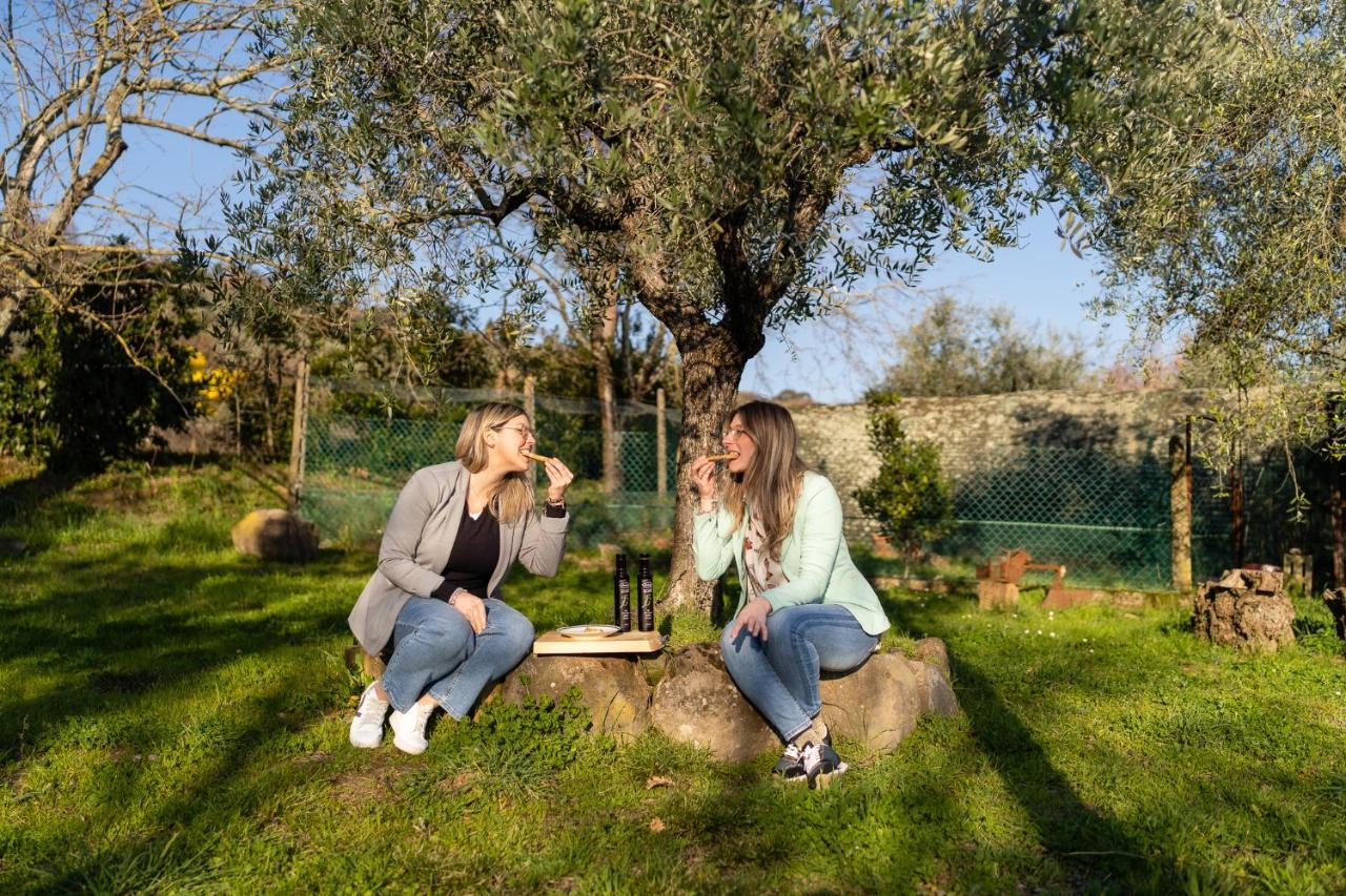 Agriturismo Bellandi Santa Lucia  Екстер'єр фото