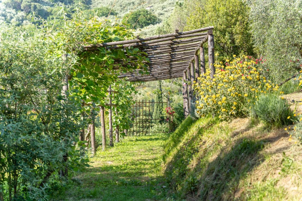 Agriturismo Bellandi Santa Lucia  Екстер'єр фото