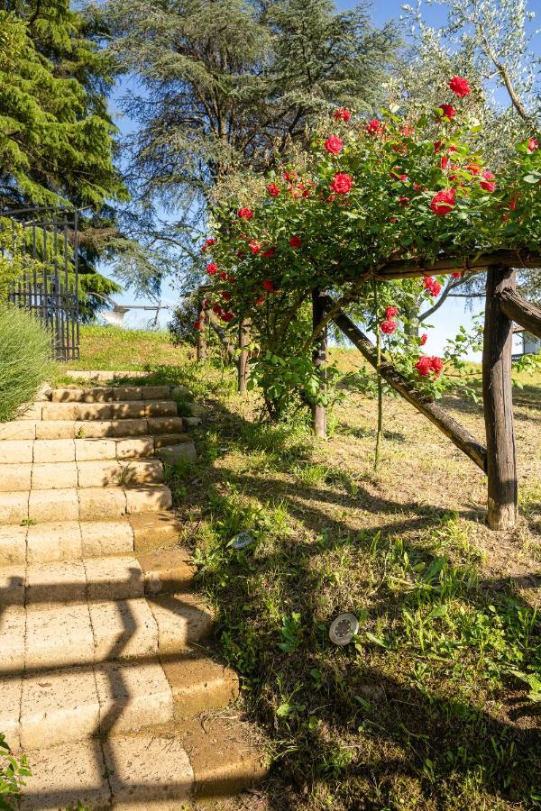 Agriturismo Bellandi Santa Lucia  Екстер'єр фото